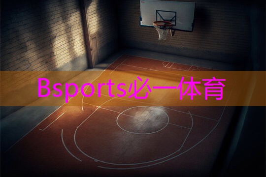 Bsports必一体育 乒乓球台蓝色和绿色